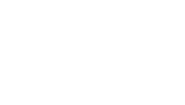 logo light
