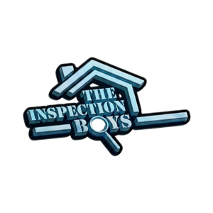 Tabby 5 The Inspection Boys